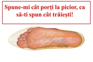 picior