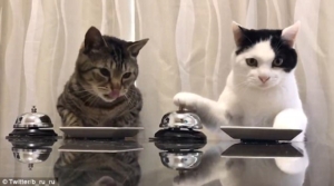 Pavlov