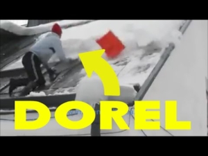 dorel