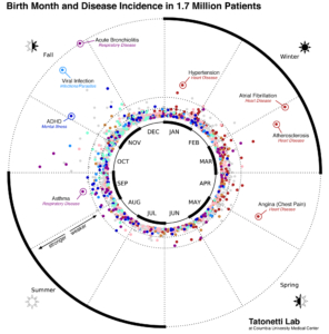 diagrama bolilor