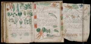 manuscris