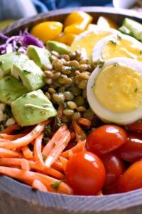 salata de proteine