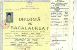 diploma bac traistariu