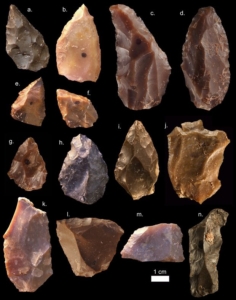 unelte homo sapiens