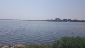 Lacul Techirghiol