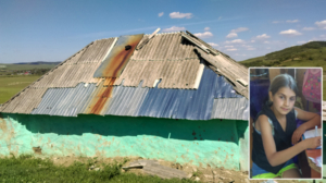 casa-familia-rotaru-1