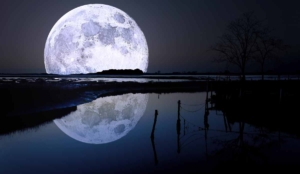 luna-plina
