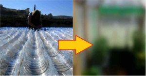 sticle de plastic