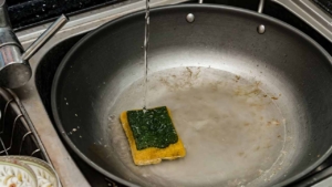burete de bucatarie