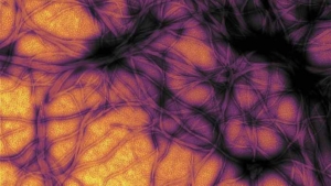 celule prion