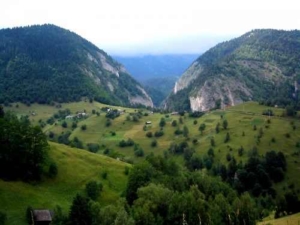 carpati