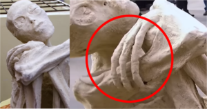 nazca mummy