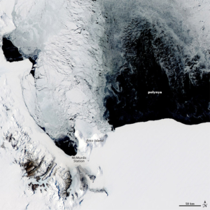 polynya