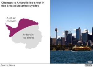 inundatii Sidney