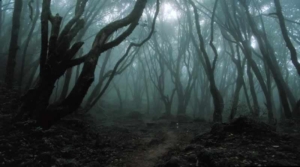padure misterioasa