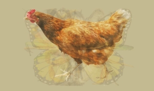 test2