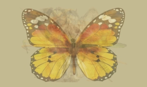 test8