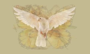test9