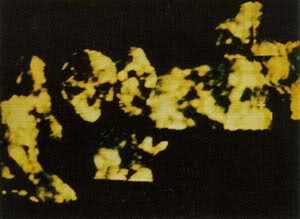 fecioara-din-guadalupe-detalii