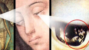 lady of guadalupe