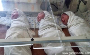 tripleti