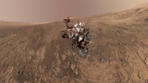 selfie Curiosity
