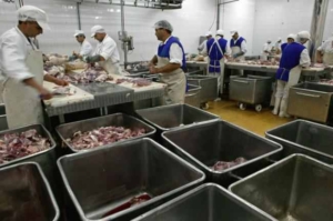 genocidul-servit-zilnic-la-farfurie-romanilor-cata-carne-contine-un-kilogram-de-carne