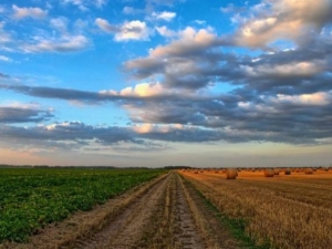 agricultura