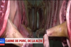 carne de porc