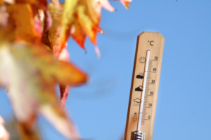 meteo