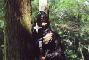 ninja